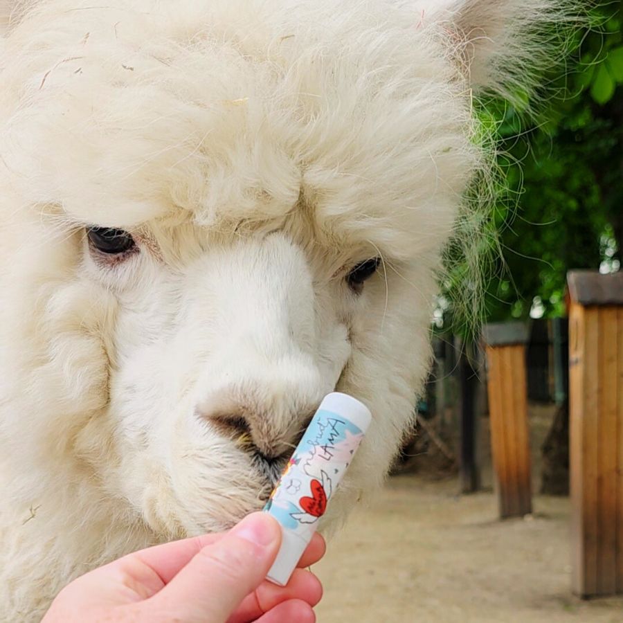 PuraVida Balzám na rty s rýžovým olejem a japonskou třešní Lama - galerie #1