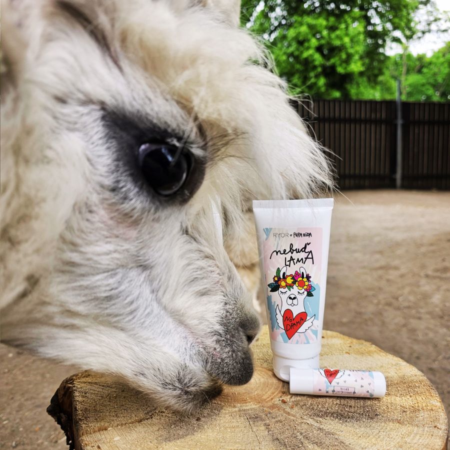 PuraVida Balzám na rty s rýžovým olejem a japonskou třešní Lama - galerie #2