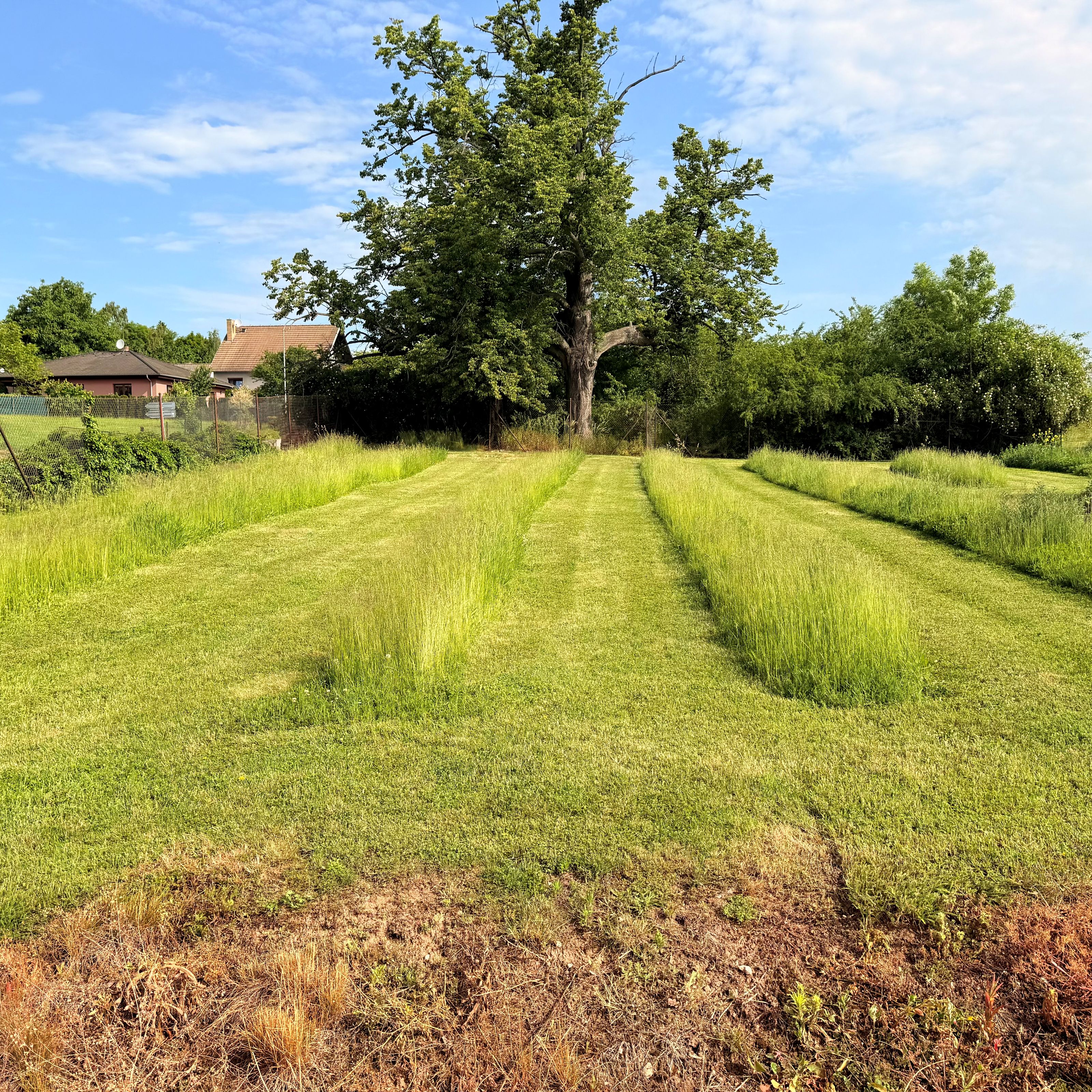 Ryor a udržitelnost